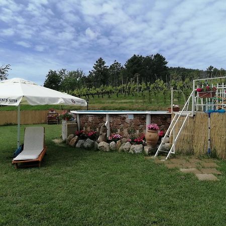 Willa La Casa Dei Nonni Chianni Zewnętrze zdjęcie